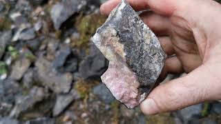 Rhodonite  Cowichan Lake Vancouver Island BC  Rockhounding [upl. by Boleslaw]