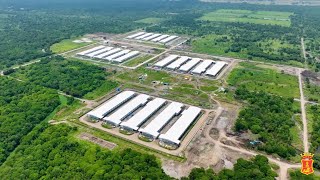 Inside SMCs mega poultry farm in Hagonoy Davao del Sur [upl. by Sharleen]