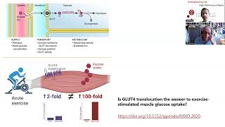 Podcast with Prof Erik Richter  Exercise GLUT4 and skeletal muscle glucose uptake [upl. by Apur574]