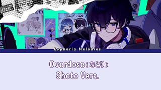 Overdose  なとり  ver Shoto  Lyrics Romaji [upl. by Christan]