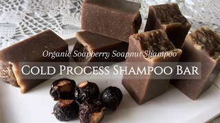 Homemade Natural Shampoo Bar with Organic Soapberry Soap Nut Shampoo  Shampo Lerak Alami [upl. by Rebme939]