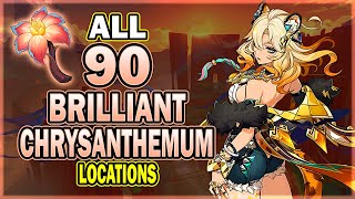 All 90 Brilliant Chrysanthemum Locations  Efficient Farming Route  Genshin Impact [upl. by Airretal]