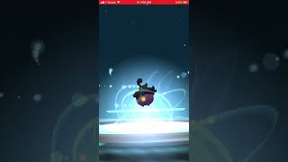 Random Encounter Shiny Pumpkaboo plus Evolution into Shiny Gourgeist in Pokémon Go shinypokemon [upl. by Eecal]