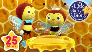 Little Bee Song  Plus Lots More Nursery Rhymes  25 Minutes Compilation from LittleBabyBum [upl. by Katherina]