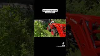 Brush cutting with the Kubota L2502 from B and T Macfarlane Ottawa ￼ [upl. by Nylinej382]