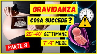 Gravidanzacosa succede settimana per settimana mese per mese Cambiamenti 2540 settimana79 mese [upl. by Hermy]