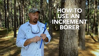 How to use a Haglöf Tree Increment Borer [upl. by Natehc668]