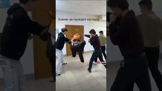 Мемы видео часть 13 undertale хочувтренды sans хочувтоп хочуврек pvz тиктоктренды хочувреки [upl. by Ttessil]