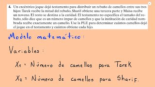 Un excéntrico jeque dejó testamento para distribuir un rebaño de camellos entre sus SOLUCIONADO [upl. by Sheryl]