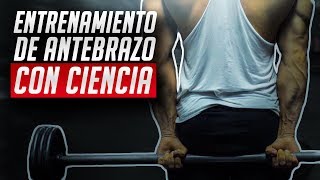 EL mejor entrenamiento de antebrazo  CIENTÍFICAMENTE COMPROBADO [upl. by Fesoj]