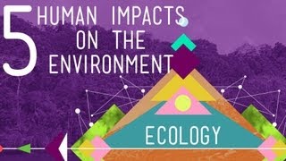 5 Human Impacts on the Environment Crash Course Ecology 10 [upl. by Ylenats]