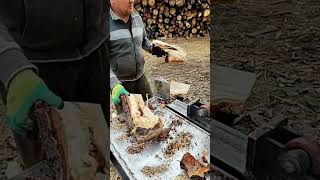 Best Log Splitter firewood woodwork [upl. by Lledyr]