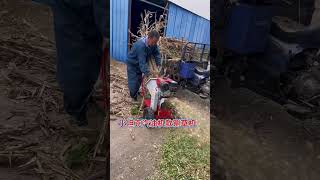 Gasoline engine diesel engine electric motor grass cutter branch crusher [upl. by Brause]