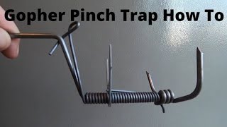 DK 1 Gopher Trap How to Set Basic Gopher Trap [upl. by Ayotan327]