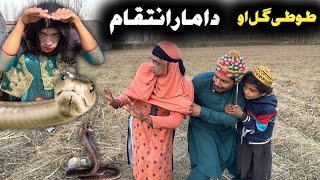 Tuti Gull Ao Da Maar Inteqam Pashto New Funny Video 2024 by Bebe Vines Plus [upl. by Aisena896]