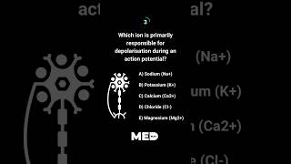 🧠Neurophysiology Time Test your preclinical knowledge with us daily Make sure to Subcribe [upl. by Hceicjow304]