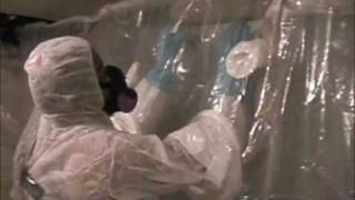 Asbestos Removal [upl. by Ecnedac793]