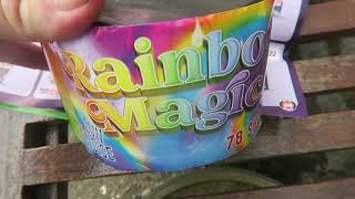 Asda Rainbow Magic £6 Firework [upl. by Piero]