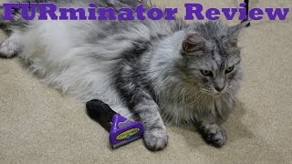 FURminator Review Video with Sean Coonery [upl. by Brice]