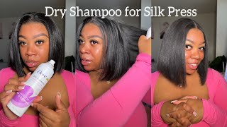 How to Revive Your Old Silk Press Dry Shampoo for Greasy Hair Silk Press Natural Hair [upl. by Regnig]