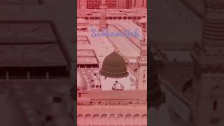 Hafiz e Quran  YouTube shorts  Islamic bayan  naatsharifnewnaatsharif islamicmusic poetry [upl. by Norraf59]