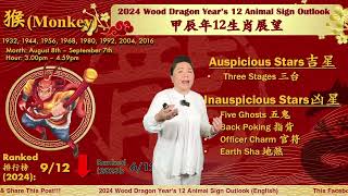 The Monkey  2024 Chinese Zodiac 12 Animal Signs Outlook [upl. by Aramat494]