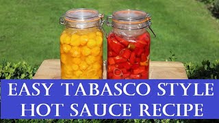 Easy Tabasco Style Fermented Hot Chilli Sauce [upl. by Akemal719]