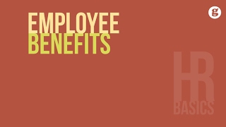 HR Basics Employee Benefits [upl. by Yetnom]