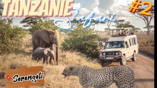 ONE OF THE MOST BEAUTIFUL SAFARI in the NATIONAL PARK of Serengeti in Africa │ Animals Documentary [upl. by Fauver]