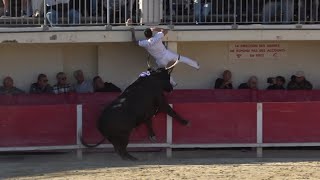 Grau du roi  2ème JOURNÉE DU TROPHÉE DE LA MER le 13092024 [upl. by Amorete]