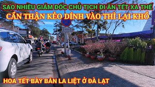 XUÂN NÀY NHIỀU GIÁM ĐỐC ĐI XA ĂN TẾT ĐÀ LẠT HOA TẾT BÀY BÁN LA LIỆT [upl. by Anidam784]