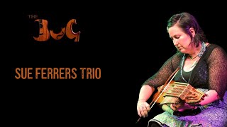 Sue Ferrers Trio Live at The Bug  Brisbane Unplugged Gigs [upl. by Ailyn]