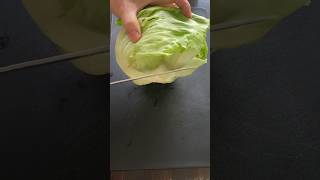 Iceberg Lettuce Vegetable Cutting Skills cuttinggarden cuttingfruit cuttingskills [upl. by Thay492]