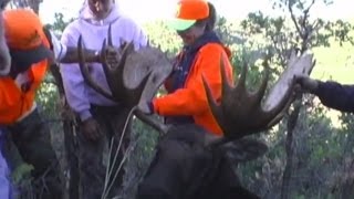 Rifle Moose Hunt in Utah  Cathy Mower  MossBack [upl. by Ahsoyem]