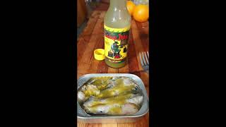 Spice up your life with Camp Dog Cajun Seasonings🔥🔥 Jalapeno Da bomb [upl. by Bronnie]