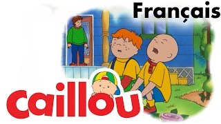 Caillou FRANÇAIS  Un nouveau membre dans la famille S02E14  conte pour enfant [upl. by Jeconiah175]