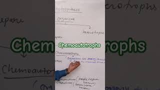 chemoautotrophs biology digitalera [upl. by Robers]