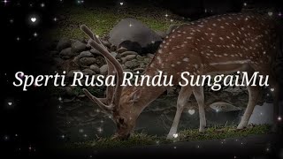 Sperti Rusa Rindu SungaiMu  Lagu Komuni [upl. by Arted]