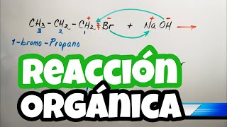 Reacciones QUÍMICAS ORGÁNICAS con ALCANOS [upl. by Nyladnarb262]