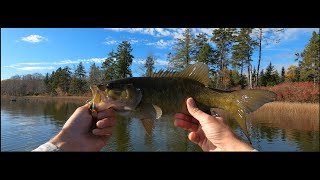 Late Fall Smallie Smackdown [upl. by Eicarg]