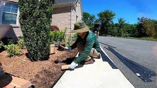 Metal Edging Installation For Garden Beds [upl. by Nomolos91]