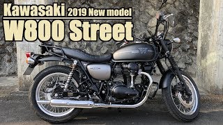 2019 New Model Kawasaki W800 Street Review [upl. by Breana489]