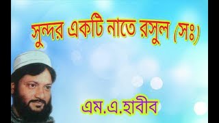 Aslam habib piye jannati sopan [upl. by Marlene]