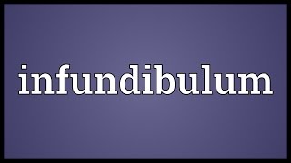 Infundibulum Meaning [upl. by Eira]