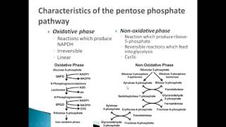 BTN223 Pentose Phosphate Pathway [upl. by Nwahshar204]