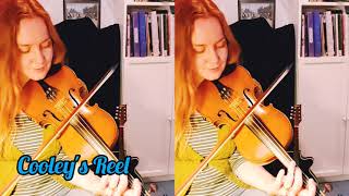 Cooleys Reel traditional Irish fiddle tune [upl. by Kuo]