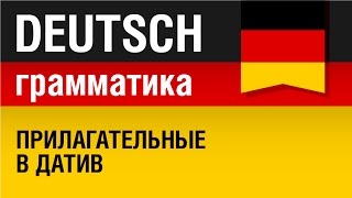 Прилагательные в датив Adjektive im Dativ Немецкая грамматика Урок 1431 Елена Шипилова [upl. by Rosco]