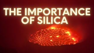 The importance of SILICA [upl. by Rengia]