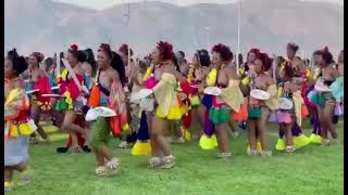 Umhlanga Reed Dance 2022 [upl. by Nedrud398]