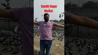 Gandhinagar Market Budget Market ytshorts gandhinagar shopping minivlog coatsuit croptop [upl. by Obara]